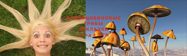 марки lsd Елизово