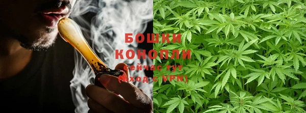 молекула духа Коряжма