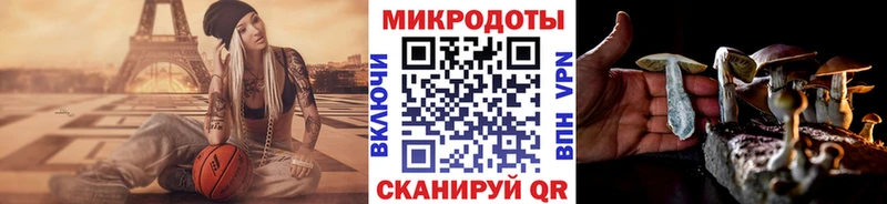 даркнет сайт Десногорск блэк спрут ONION Псилоцибиновые грибы мухоморы